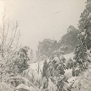 Striborg : The Trepidation Sessions (Rehearsal)